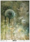  twarz kobiety, rośliny, mniszek* female face, plants, dandelion* Weibliches Gesicht, Pflanzen, Löwenzahn* rostro femenino, plantas, diente de león