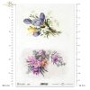 wiosenne kwiaty, frezja, frezje, krokus, krokusy, przebiśnieg, przebiśniegi, łąka, ogród, wiosna, Flower Post, spring flowers, freesia, freesias, crocus, crocuses, snowdrops, meadow, garden, spring, Frühlingsblumen, Freesie