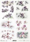 wiosenne kwiaty, kwiaty owocowe, fiołki, mak wschodni*spring flowers, fruit flowers, violets, eastern poppies*Frühlingsblumen, Obstblumen, Veilchen, Klatschmohn*flores de primavera, flores frutales, violetas, amapolas orientales