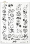 flower, flowers, butterfly, butterflies, daisy, lily of the valley, clove, cloves, strawberry, strawberries, R001