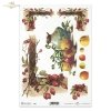apple, apple, rosehip, rosehips, fruit, walnut, walnuts, still life