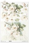 kwiaty 3D, jabłoń*3D flowers, apple tree*3D-Blumen, Apfelbaum*Flores 3D, manzano