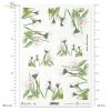 stokrotka, stokrotki, kwiat, ogród, łąka, wiosna, autorka grafiki Maria Kopeć, R901, daisy, daisies, flower, garden, meadow, spring, Gänseblümchen, Blume, Garten, Wiese, Frühling, margaritas, flor, jardín, prado, primavera