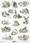 zające wielkanocne*easter bunnies*Osterhasen*conejos de pascua