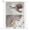 zwierzęta retro, zwierzęta w strojach, zając, zające, król, królowa, admirał, zoomorfizm, stroje historyczne, amerykański portret, francuski szyk, french chic, retro animals, animals in costume, hare, hares, king, queen, admiral