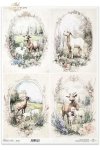 kozy, wiejskie zwierzęta, wiosenne klimaty, rustykalny styl*goats, countryside animals, springtime climate, rustic style*Ziegen, Tiere auf dem Lande, Frühlingsklima, rustikaler Stil*cabras, animales de campo, clima primaveral, estilo rústico