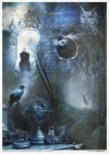 Nieodkryty magiczny świat, astrologia, niebo, konstelacje, gwiazdozbiór, mityczne zwierzęta, znaki zodiaku, hipogryf, zamek Drakuli, smok, smoki, skóra smoka, smocza łuska, złoty smok, napisy, litery, runy, alfabet runiczny, wierzenia nordyckie, las, jele