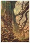 Mysterious forest - tajemniczy las * Mysterious forest * Mysteriöser Wald * Bosque misterioso