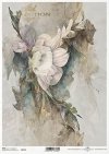 motywy roślinne, motywy kwiatowe, tło, tapeta, kolaż, rośliny, kwiaty*floral motifs, floral motifs, background, wallpaper, collage, plants, flowers*blumenmotive, blumenmotive, hintergrund, wallpaper, collage, pflanzen, blumen*motivos florales, motivos flo