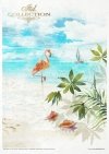 Zestaw kreatywny na papierze ryżowym - Tropikalne marzenia*Creative set on rice paper - Tropical dreams