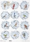 mrozem malowane, wieńce z ptakami, mysikrólik, zniczek, kardynał, sikorka, pleszka, szczygieł, gil, wróbel*decorated with frost, wreaths with birds, goldcrest, firecrest, redbird, titmouse, redstart, goldfinch, bullfinch, sparrow