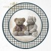 niebieskie kratki, misie, maskotki, zabawki*blue checks, teddy bears, mascots, toys*blaue Karos, Teddybären, Maskottchen, Spielzeug*cheques azules, osos de peluche, mascotas, juguetes