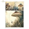 Alice's Magic - A tale of a world that has forgotten logic  - Czary Alicji - Opowieść o świecie, który zapomniał logiki * 
