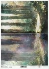 Seria - Mysterious forest - tajemniczy las, drzewa, lasy, rośliny*Series - Mysterious forest - trees, woods, plants*Serie - Mysteriöser Wald - geheimnisvoller Wald, Bäume, Wälder, Pflanzen*Serie - Bosque misterioso - árboles, bosques, plantas