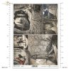 mystery, good, evil, fairy tales, Brothers Grimm, Sleeping Beauty, Little Red Riding Hood, Hansel and Gretel, Rapunzel, high tower, castle, castle, palace, Baba Yaga's cottage, Cinderella, Schwarz-Weiß, Mystery, Gut, Böse