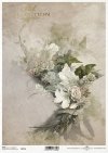 motywy roślinne, motywy kwiatowe, tło, tapeta, kolaż, rośliny, kwiaty*floral motifs, floral motifs, background, wallpaper, collage, plants, flowers*blumenmotive, blumenmotive, hintergrund, wallpaper, collage, pflanzen, blumen*motivos florales, motivos flo
