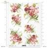 orchidea, storczyk, orchidee, storczyki, kwiat, kwiaty, kwiatek, kwiatki, listki, liście, płatki kwiatów, R418