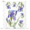 irys, irysy, kosaciec, kosaćce, kwiat, kwiatek, kwiatki, R987, iris, irises, flower, iris, lirios, guadaña, flor, Schwertlilie, Sense, Blume