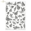 owady, motyl, pszczoła, pszczoły, osa, osy, trzmiel, ważka, ważki, letnia łąka, Summer meadow, insect, butterfly, bee, wasp, bumblebee, dragonfly, dragonflies, Insekt, Schmetterling, Biene, Wespe, Hummel, Libelle, Sommerwiese