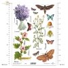 Klar Transparente Folie F132