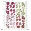 poinsecja, gwiazda betlejemska, kwiat, klimat Bożego Narodzenia, poinsettia, star of Bethlehem, flower, Christmas spirit, Weihnachtsstern, Stern von Bethlehem, Blume, Weihnachtsstimmung, poinsettia, estrella de Belén, flor