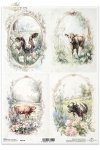 krowy, wiejskie zwierzęta, wiosenne klimaty, rustykalny styl, cows, country animals, springtime climate, rustic style Kühe, Tiere auf dem Lande, Frühlingsklima, rustikaler Stil, vacas, animales de campo, clima primaveral, estilo rústico