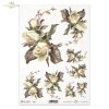 flowers, leaves, white roses, flowers from the garden, bouquets 