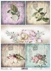 carte postale, flowers, roses, hydrangeas, magnolias, lilacs, backgrounds, old postcards, Blumen, Rosen, Hortensien, Magnolien, Flieder, Hintergrund, Hintergründe, alte Postkarten, flores, rosas, hortensias, magnolias