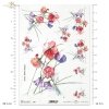 groszek pachnący, kwiat, ogród, łąka, wiosna, autorka grafiki Maria Kopeć, R904, fragrant pea, flower, garden, meadow, spring, Duftende Erbse, Blume, Garten, Wiese, Frühling, guisante fragante, flor, jardín, prado, primavera