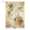 owoce, czerwone winogrona, kiść winogron, jabłko, jabłka, kwiaty jabłoni, orzechy, martwa natura, akwarela, akwarele, fruits, red grapes, bunch of grapes, apples, apple blossoms, nuts, still life, watercolours