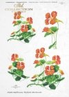 papier-ryżowy-decoupage-kwiaty-ogród-nasturcje-Krystyna-Jałochowska-R0125