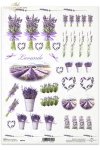 lawenda, lawendowe, bukiet, bukiety, lawendy, kwiat, kwiaty, ogród, R040, lawenda, lavender, flowers, lavender, lavender field, lavender bouquets, Blumen, Lavendel, Lavendelfeld, Lavendelsträuße, lavanda