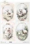 owce, wiejskie zwierzęta, wiosenne klimaty, rustykalny styl*sheep, countryside animals, springtime climate, rustic style*Schafe, Tiere auf dem Lande, Frühlingsklima, rustikaler Stil*ovejas,  animales de campo, clima primaveral, estilo rústico