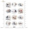 zimowe ptaki, kruki, wrony, kardynał, jemiołuszka, gil*winter birds, ravens, crows, cardinal, mistletoe, guillemot*Wintervögel, Raben, Krähen, Kardinal, Mistel, Trottellumme