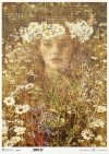  twarz kobiety, rośliny, rumianek* female face, plants, camomile* Weibliches Gesicht, Pflanzen, Kamille* rostro femenino, plantas, manzanilla