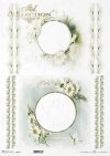 ramki, szlaczki, dekory, stokrotki, kwiaty astry, aster chiński, białe kwiaty*frames, slides, decors, daisies, asters, Chinese asters, white flowers