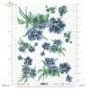 bratki, bratek ogrodowy, fiołek ogrodowy, bukiet, kwiat, łąka, ogród, wiosna, lato, R968, pansies, garden pansy, garden violet, bouquet, flower, meadow, garden, spring, summer, Stiefmütterchen, Gartenstiefmütterchen, Gartenveilchen, Strauß, Blume, Wiese, 
