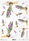 hiacynt, kwiat, ogród, łąka, wiosna, autorka grafiki Maria Kopeć, R909, hyacinth, flower, garden, meadow, spring, Hyazinthe, Blume, Garten, Wiese, Frühling, jacinto, flor, jardín, prado, primavera