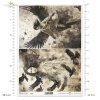 demons, transformation, woman, women, man, ravens, crows, rooks, birds, evil, mystery, wing, wings, Schwarz & Weiß, Dämonen, Verwandlung, Frauen, Mann, Raben, Krähen, Vögel, böse, Geheimnis, Flügel, Blanco y Negro