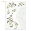 dekor, ornament, dzika róża, róże, ogród, kwiat, wiosna, R834, decor, ornament, wild rose, roses, garden, flower, spring, Dekor, Ornament, Wildrose, Rosen, Garten, Blume, Frühling, decoración, ornamento, rosa silvestre, rosas, jardín, flor, primavera
