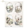 kozy, wiejskie zwierzęta, wiosenne klimaty, rustykalny styl*goats, countryside animals, springtime climate, rustic style*Ziegen, Tiere auf dem Lande, Frühlingsklima, rustikaler Stil*cabras, animales de campo, clima primaveral, estilo rústico