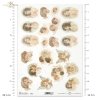 aniołek, anioł, aniołki, anioły, amor, amorki, Boże Narodzenie, anielskie skrzydła, vintage, retro, angel, cupid, Christmas, angel wings, Engel, Amor, Amoretten, Weihnachten, Engelsflügel, angel, angeles, cupido, Navidad, alas de angel 