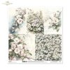 kwiaty*flowers*Blumen*flores