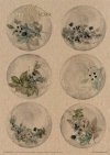 Creative Set MS011 The world of ice porcelain