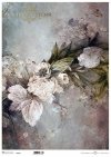 motywy roślinne, motywy kwiatowe, tło, tapeta, kolaż, rośliny, kwiaty*floral motifs, floral motifs, background, wallpaper, collage, plants, flowers*blumenmotive, blumenmotive, hintergrund, wallpaper, collage, pflanzen, blumen*motivos florales, motivos flo