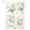 kwiaty 3D, jabłoń*3D flowers, apple tree*3D-Blumen, Apfelbaum*Flores 3D, manzano