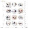 zimowe ptaki, kruki, wrony, kardynał, jemiołuszka, gil*winter birds, ravens, crows, cardinal, mistletoe, guillemot*Wintervögel, Raben, Krähen, Kardinal, Mistel, Trottellumme