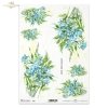 niezapominajka, niezapominajki, kwiat, ogród, łąka, wiosna, autorka grafiki Maria Kopeć, R907, forget-me-not, flower, garden, meadow, spring, Vergissmeinnicht, Blume, Garten, Wiese, Frühling, nomeolvides, flor, jardín, prado, primavera