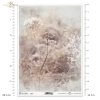 trawa, trawy, kwiaty polne, dzikie kwiaty, łąka, zioła, akwarela, akwarele, tło, tła, Summer meadow, grass, grasses, field flowers, wild flowers, meadow, herbs, watercolour, background, Gras, Gräser, Feldblumen, Wildblumen, Wiese