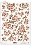 róża, róże, pąki, liście, bukiety, kwiaty, R033, Rose, roses, buds, leaves, bouquets, flowers, flower, Rosa, Blumen, Rosen in Korallenfarbe, rosa, flores, rosas en color coral 